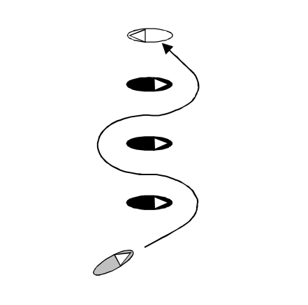 BC1: Slalom