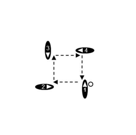 W3: W bok